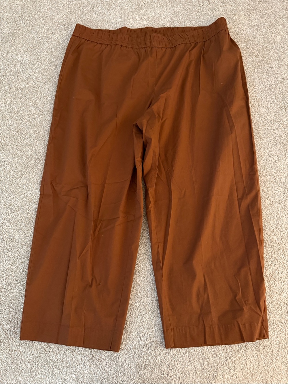 Eileen Fisher Organic Cotton Stretch Poplin Cropped Pant in Nutmeg 2X NWT